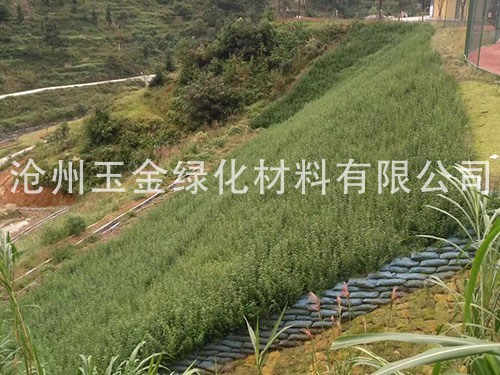 工程案例51