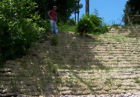 3.gif